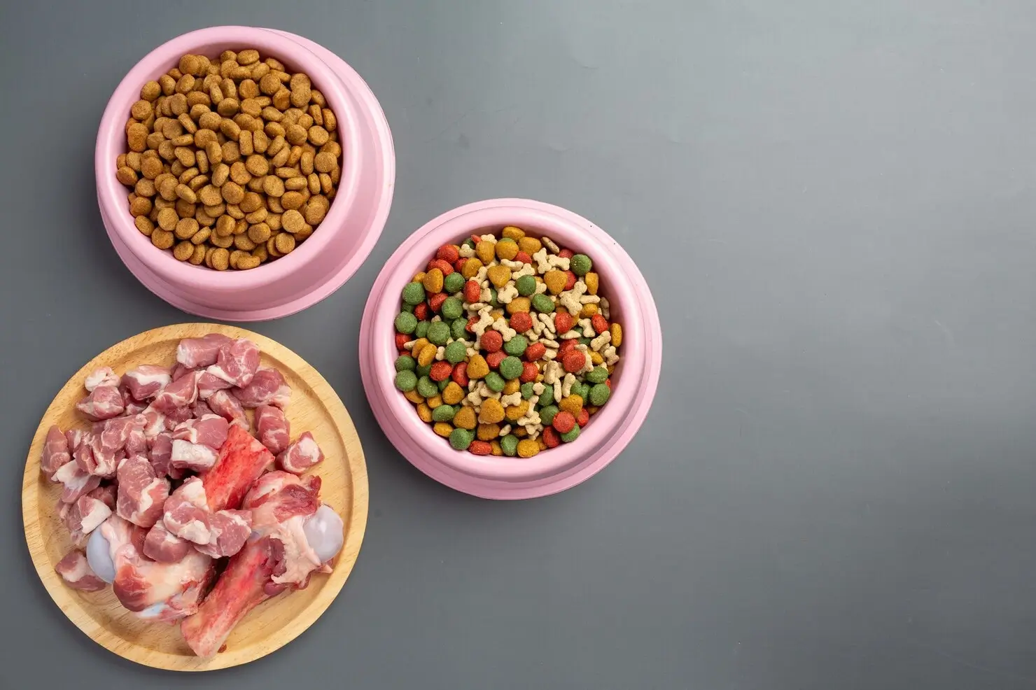 Stop ! 14 Common Pet Food Mistakes Hurting Your Pet’s Health